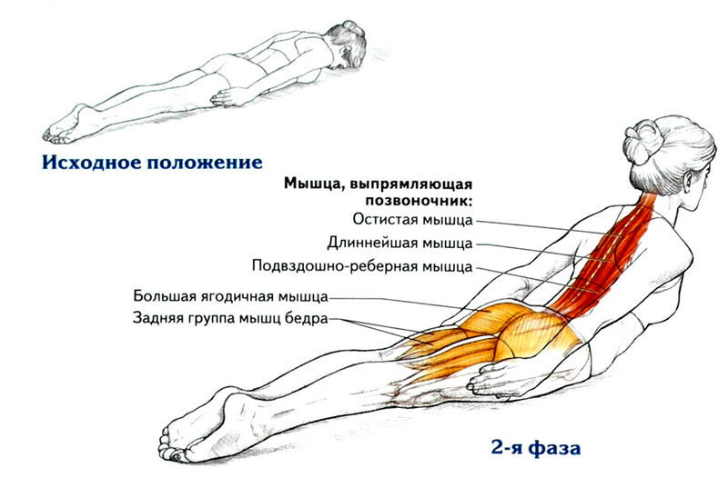 Омолаживающие 8 упражнений для укрепления спины