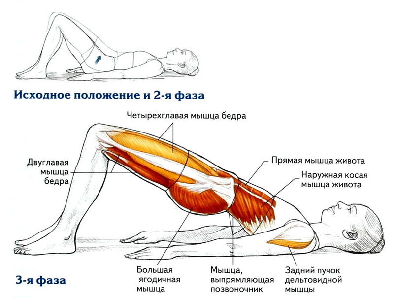 Омолаживающие 8 упражнений для укрепления спины